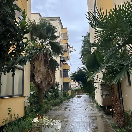 Tek Kompleksi Thomallari-golem Golem (Tirana)